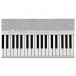 Casio CT-S1 Portable Keyboard, White