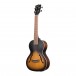 Kala KA-JTE-2TS Tenor Archtop Ukulele, Satin Left