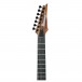 Ibanez RGAIX7U Iron Label Electric Guitar, Antique Brown Stained Neck
