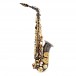 Roy Benson AS202 Alto Saxophone, Black and Gold