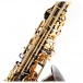 Roy Benson AS202 Alto Saxophone, Black and Gold