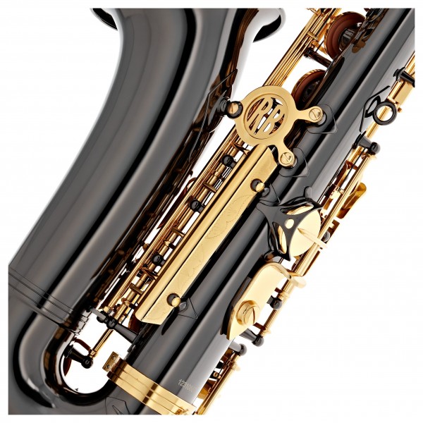 Roy Benson AS202 Alto Saxophone, Black and Gold