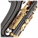 Roy Benson AS202 Alto Saxophone, Black and Gold