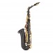 Roy Benson AS202 Alto Saxophone, Black and Gold