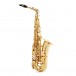Selmer Paris Signature Alto Saxophone, Gold Lacquer