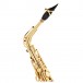 Selmer Paris Signature Alto Saxophone, Gold Lacquer