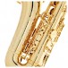 Selmer Paris Signature Alto Saxophone, Gold Lacquer