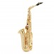 Selmer Paris Signature Alto Saxophone, Gold Lacquer