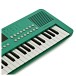 VISIONKEY-2 49 Key Portable Mini Keyboard, Green