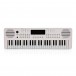 VISIONKEY-2 49 Key Portable Keyboard, White