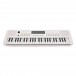 VISIONKEY-2 49 Key Portable Mini Keyboard, White