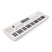 VISIONKEY-2 49 Key Portable Mini Keyboard, White