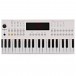 VISIONKEY-2 49 Key Portable Mini Keyboard, White