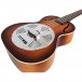 Kala KA-RES-CHR Chrome Plate Resonator Tenor Ukulele, Sunburst Satin 