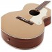 Hartwood Century Jumbo Acoustic, Gold