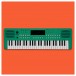 VISIONKEY-2 49 Key Portable Mini Keyboard, Green