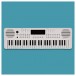 VISIONKEY-2 49 Key Portable Mini Keyboard, White