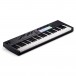 Novation Launchkey 61 MK4 - Angled