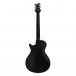PRS SE Chris Robertson Signature Limited Edition, Blueburst