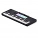 Novation Launchkey Mini 37 MK4 MIDI Keyboard - Angled