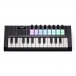 Novation Launchkey Mini 25 MK4 - Front