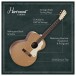 Hartwood Century Jumbo Acoustic Guitar, Gold