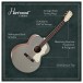 Hartwood Century Jumbo Acoustic Guitar, Slate Grey