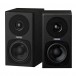Fostex PM0.3dH Active Speaker System - Main