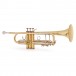 B&S Challenger 1 Trumpet, Clear Lacquer