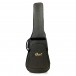Cort Artisan Space 5 w/Bag, Star Dust Green