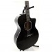 Taylor 214ce DLX LTD, Trans Grey