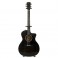 Taylor 214ce DLX LTD, Trans Grey - Ex Demo
