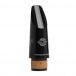 Selmer Paris Focus Bb Clarinet Mouthpiece