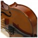 Stentor Student 1 Violin Outfit, 1/2 - Secondhand