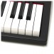 GO:88P-SECONDHAND-CCL2260