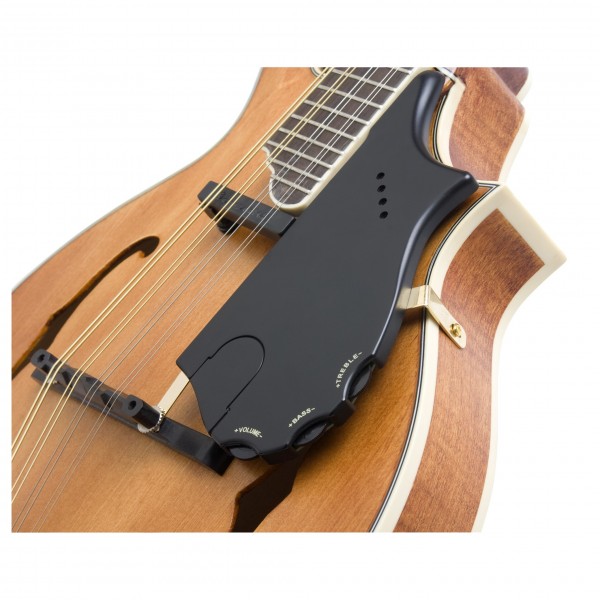 Epiphone MM-50E F Shape Electric Mandolin, Vintage Natural at
