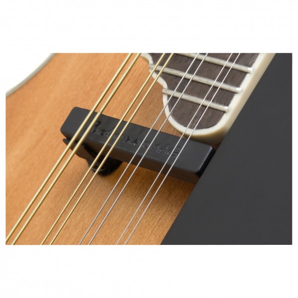 Epiphone MM-50E F Shape Electric Mandolin, Vintage Natural at