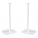 Mountson Floor Stand for Sonos Era 300 (Pair), White Front View