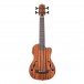 Kala U-Bass Journeyman Electro-Acoustic Ukulele, Natural