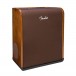 Fender Acoustic SFX Amplifier