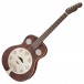 Fender Brown Derby Resonator RW, Brown Stain