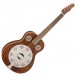 Fender Brown Derby Resonator RW, Brown Stain