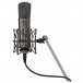 Warm Audio WA-87 FET Studio Microphones - Stereo Pair, Titanium - 