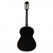 Fender CN-60S Acoustic Guitar, Black Back