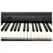 Roland FP-60X Digital Piano