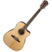 Fender F-1000CE Dreadnought Cutaway Electro-Acoustic Guitar, Natural