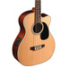 Sigma BRC-28E Electro Acoustic Bass, Natural