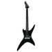 BC Rich Chuck Schuldiner Tribute Stealth