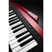 Korg RK-100S Keytar 37 Note Performance Keyboard, Red