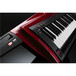 Korg RK-100S Keytar 37 Note Performance Keyboard, Red